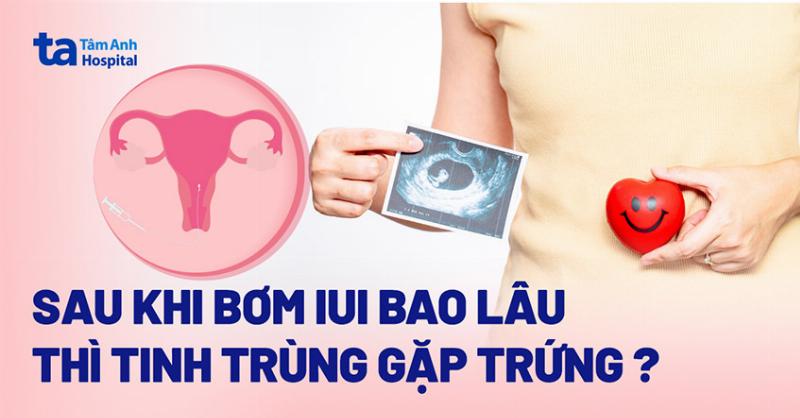 Tinh trùng di chuyển trong tử cung