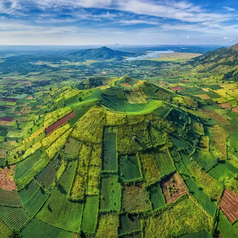 Voi Bản Đôn trong văn hóa Tây Nguyên