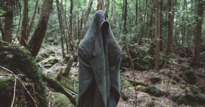 Aokigahara Nhật Bản Khu Rừng Tự Sát Rùng Rợn