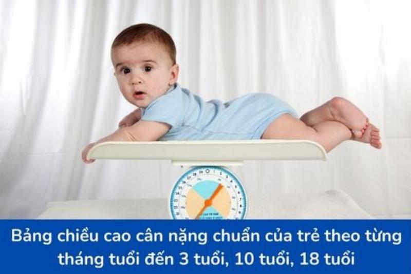 Biểu đồ chiều dài đầu theo độ tuổi