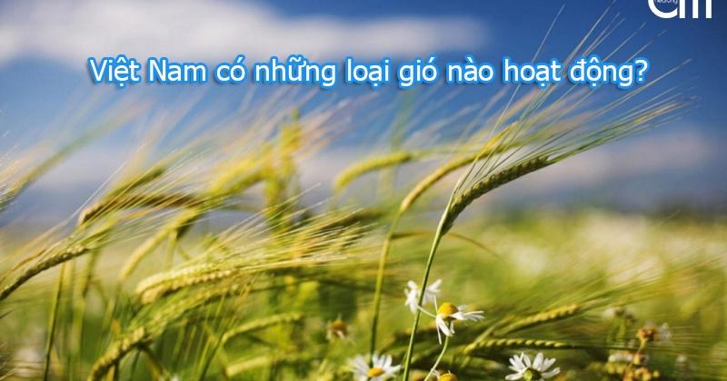 Các loại gió khác nhau