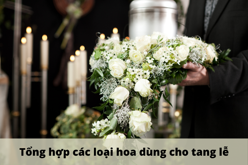 Các loại hoa khác trong tang lễ