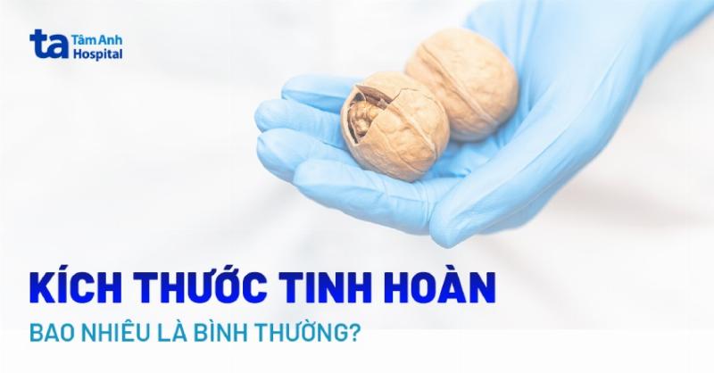 Kích thước đầu trung bình của người trưởng thành