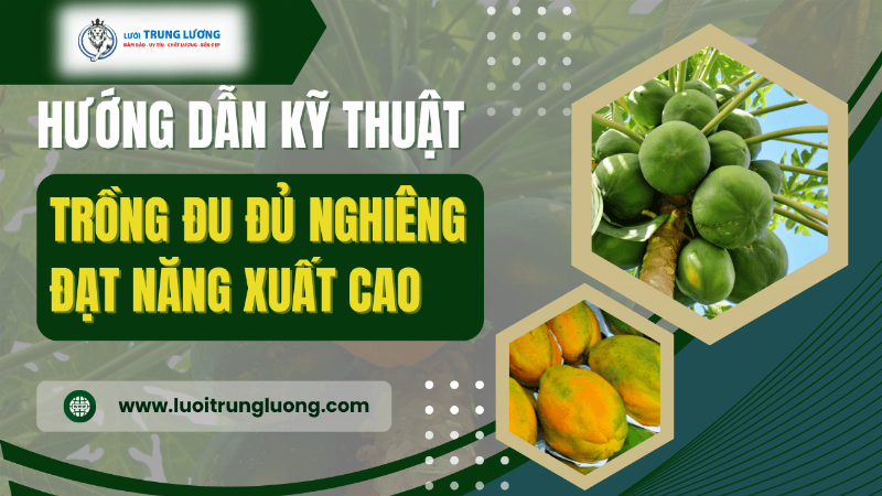 Kỹ thuật trồng nghiêng 45 độ