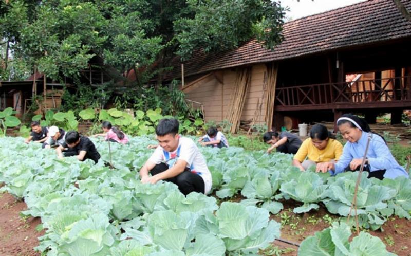 Lan tỏa lòng từ bi