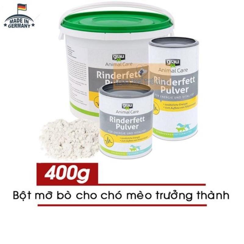 Mèo ốm yếu cần giúp đỡ