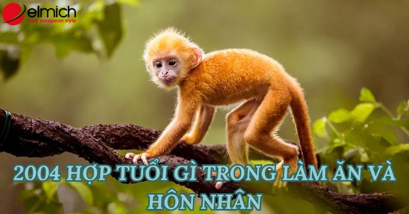 Tài lộc Giáp Thân 2004 nữ mạng