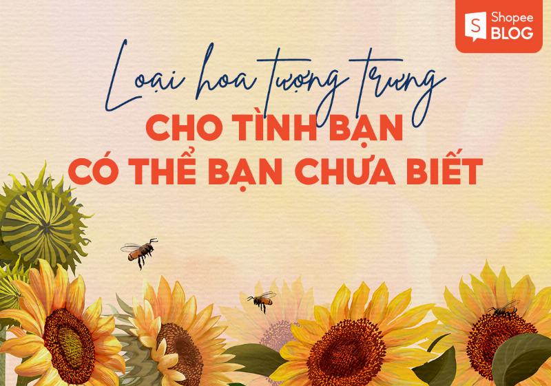 Hình ảnh tình bạn chân thành bền vững