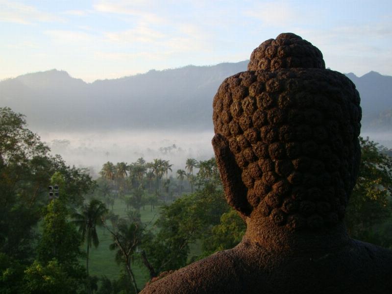 Vô minh trong đời sống hàng ngày