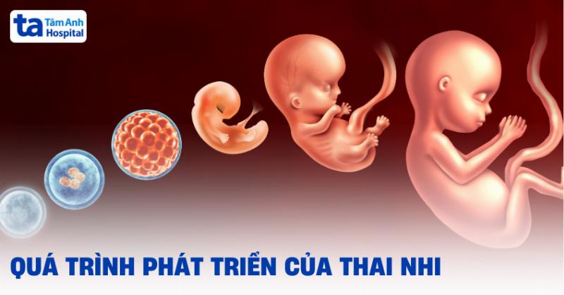 4 tháng có bao nhiêu tuần