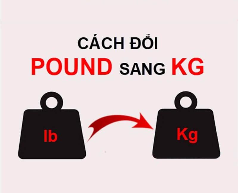 Lợi ích của việc quy đổi pound sang kg